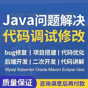 java代码问题解决bug调试修改程序讲解项目运行指导软件后端开发