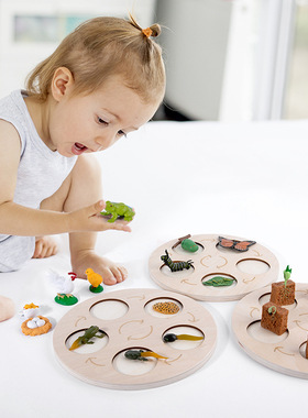 蒙氏教具动植物成长过程拼图蝴蝶青蛙母鸡生长周期盘life cycle