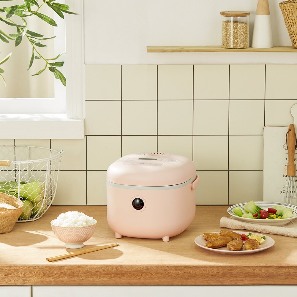 bear/小熊 dfb-b20a1电饭煲家用多功能柴火饭迷你电饭煲小2-3-4人