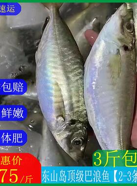 东山岛养殖巴浪鱼竹夹鱼亲朋好友聚餐送礼佳品