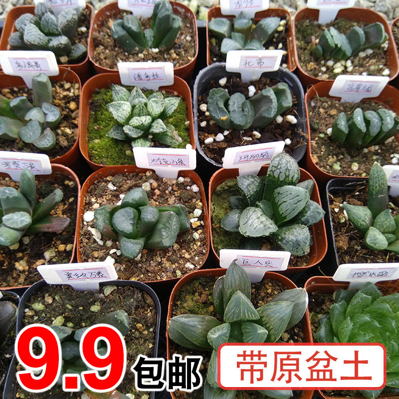 淘宝十二星座书签做法