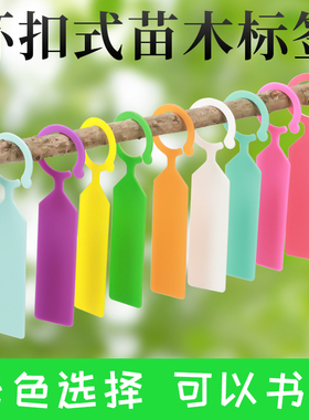 园艺标签环扣加厚塑料防水苗木花卉葡萄西瓜果树植物品种标记挂牌