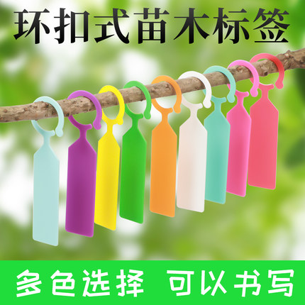 园艺标签环扣加厚塑料防水苗木花卉葡萄西瓜果树植物品种标记挂牌