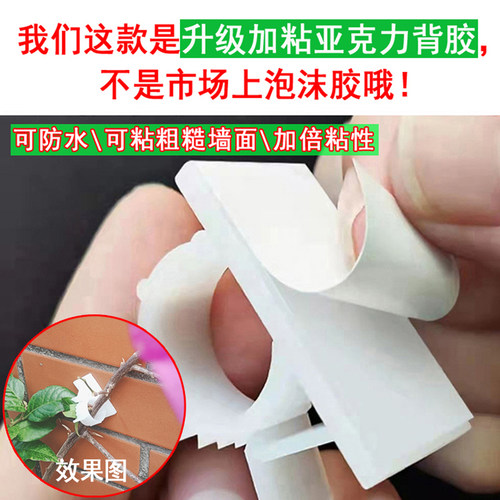 绿植爬藤固定器园艺花墙月季蔷薇花枝绿萝爬墙牵引攀爬黏贴卡扣夹
