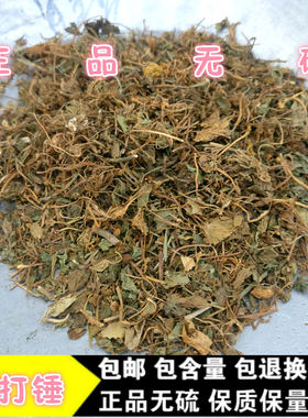 千打锤中药材 土细辛 老虎刺九节风 无硫250克包邮  另有金耳环