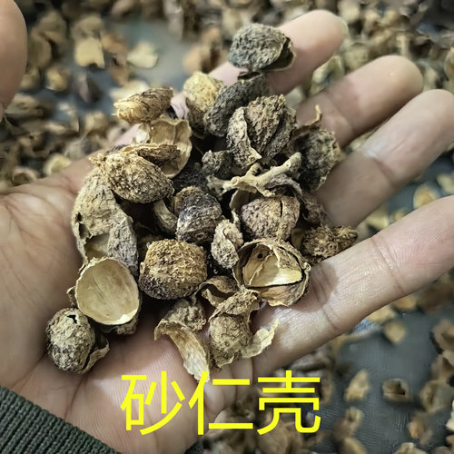 砂仁壳 壳砂仁 香砂仁 广砂仁 春砂仁中药材香料卤肉砂仁壳500g