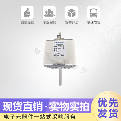 熔断器 170M6301 6302 6303 6304 6305 6306 6307品质保证