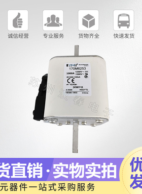 全新熔断器 保险丝 熔芯170M6253现货直销 欢迎订购