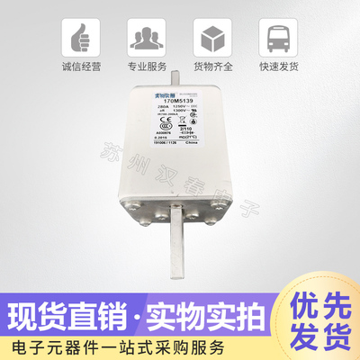 熔断器熔芯保险丝170M5139