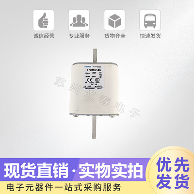 熔断器 保险丝170M6140 6141 6142 6143 6144 6145现货直销