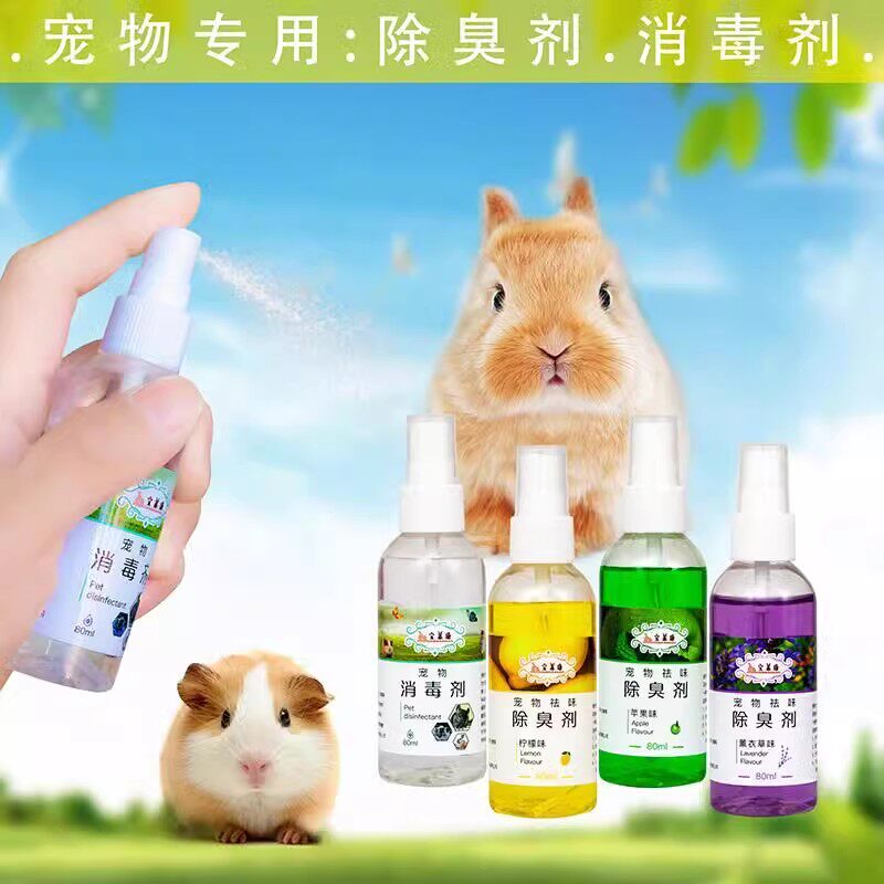宝莱康荷兰猪豚鼠宠物兔子仓鼠龙