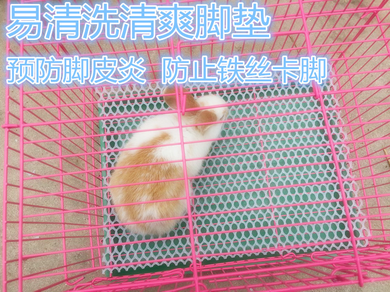 宠物兔子豚鼠荷兰猪龙猫防啃咬