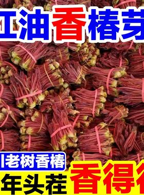 头茬红油香椿芽野生香椿芽嫩芽当季新鲜蔬菜香椿头现采红油香椿菜