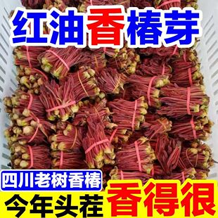 头茬红油香椿芽野生香椿芽嫩芽当季新鲜蔬菜香椿头现采红油香椿菜