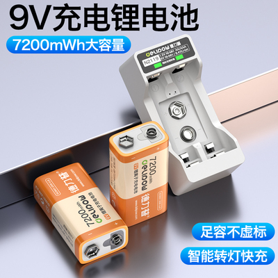 德力普充电电池9V万用表吉他5号玩具话筒大容量7号通用充电器套装