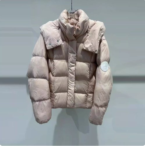 3J4K306吊牌2895小地素dzzit专柜正品2025冬五波女士新款羽绒服