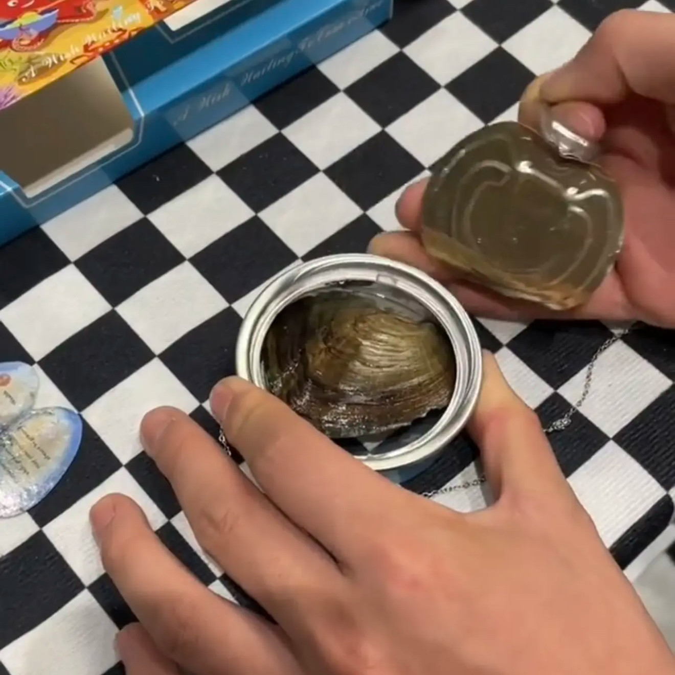 贝壳开蚌珍珠DIY吊坠项链礼盒