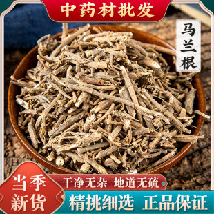 中药材马兰根马兰头根干正品天然药材田边菊 路边菊 蓑衣草500克