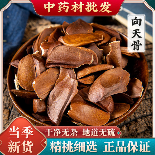 正品向天果500g包邮 天然食用向天果仁 特级所罗门向天果 中药材