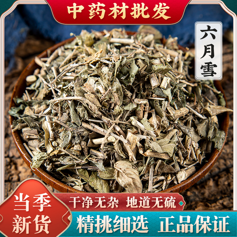 六月雪草药500克 野生六月雪中药材 满天星碎叶冬青白马骨中草药