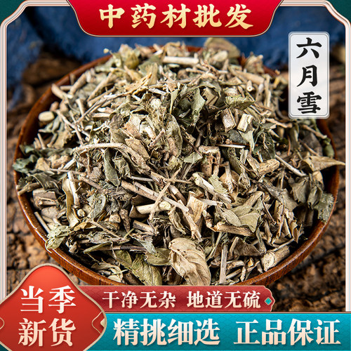 六月雪草药500克 野生六月雪中药材 满天星碎叶冬青白马骨中草药