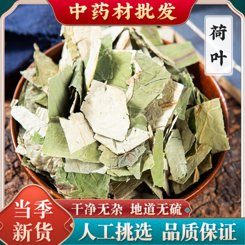 干荷叶片 荷叶中药材 荷叶干货小片荷叶茶精选荷叶块新货泡水