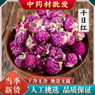 干花千日红花茶中药百日红千金红千年红千日娇止咳平喘清肝明目茶