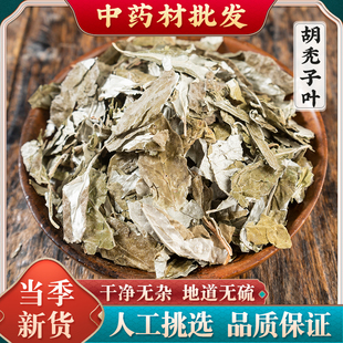 胡秃子叶中药材 蒲颓叶 胡颓子叶 胡颓叶 野生