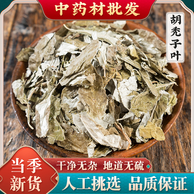 胡秃子叶中药材蒲颓叶胡颓叶