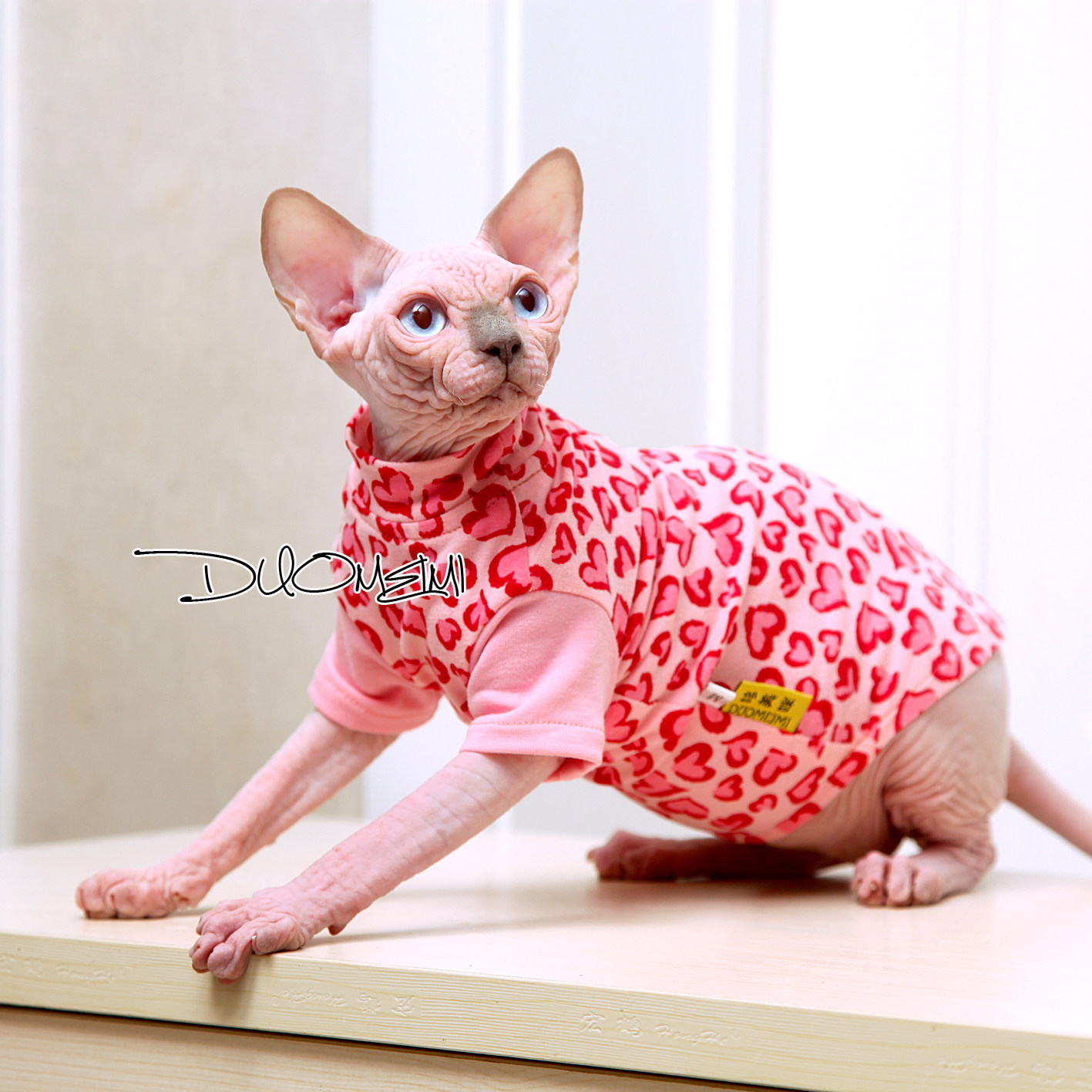 哆美咪 斯芬克斯无毛猫德文猫 夏季纯棉莱卡粉色小心豹纹T恤薄款