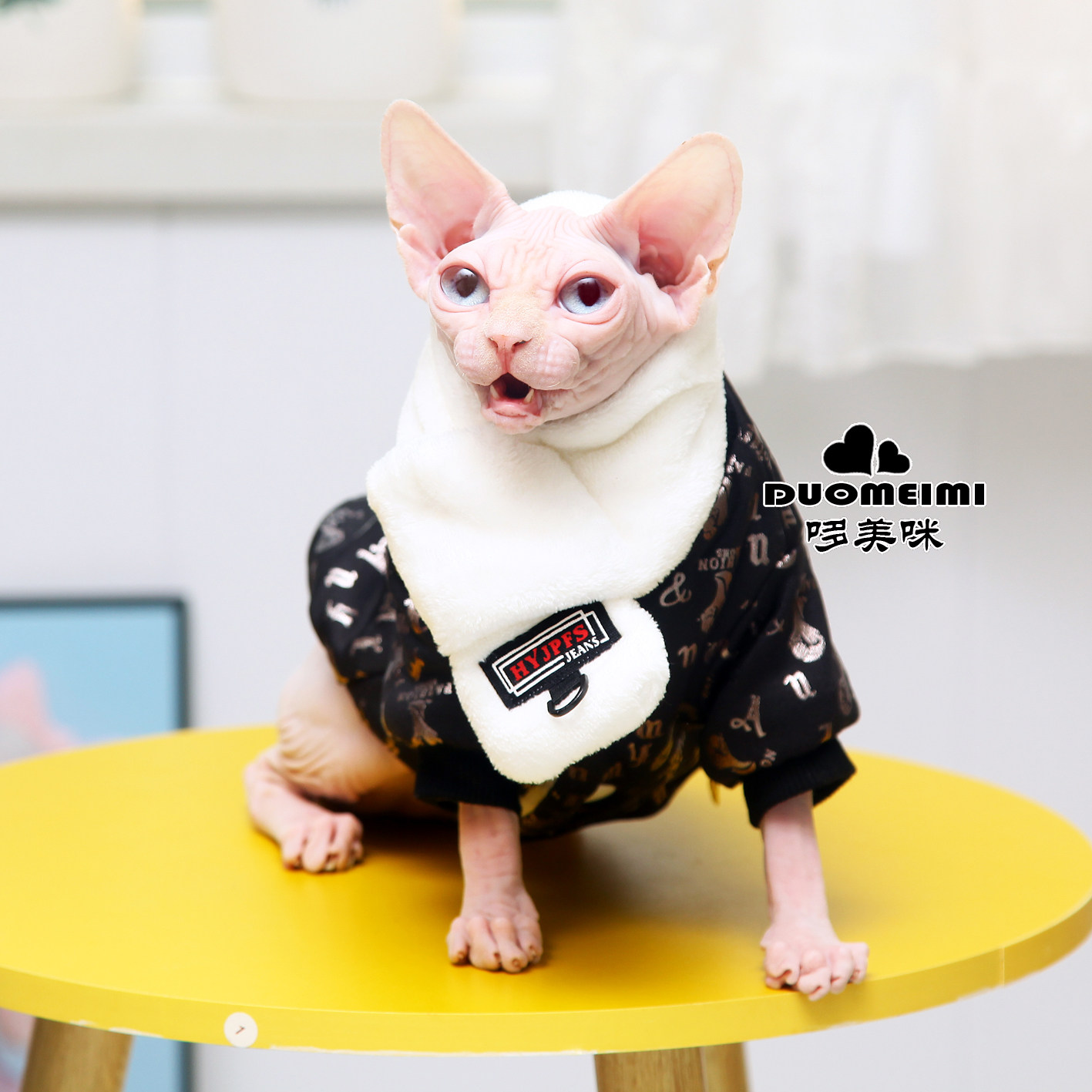 哆美咪 斯芬克斯 无毛猫 德文猫宠物服装/雨衣（新