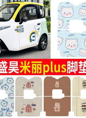 适用盛昊米丽PLUS定制电动三轮车篷车防水脚垫平铺丝圈脚踏垫