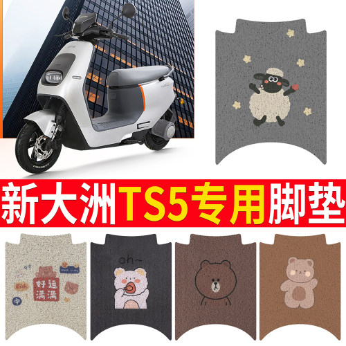 【新大洲TS5】专用脚垫