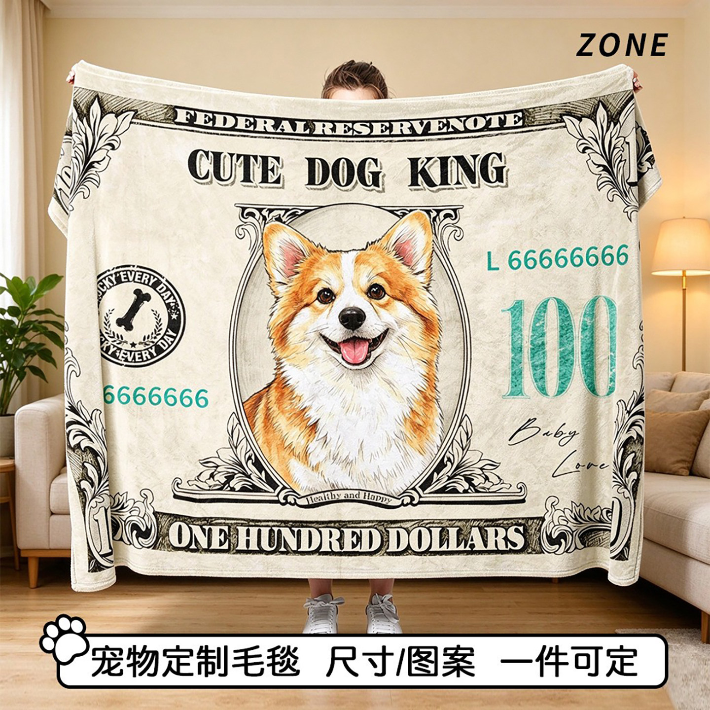 毛毯加厚冬办公室午睡披肩毛毯沙发盖毯狗狗美元创意礼物空调定制