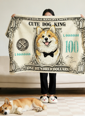 毛毯加厚冬办公室午睡披肩毛毯沙发盖毯狗狗美元创意礼物空调定制