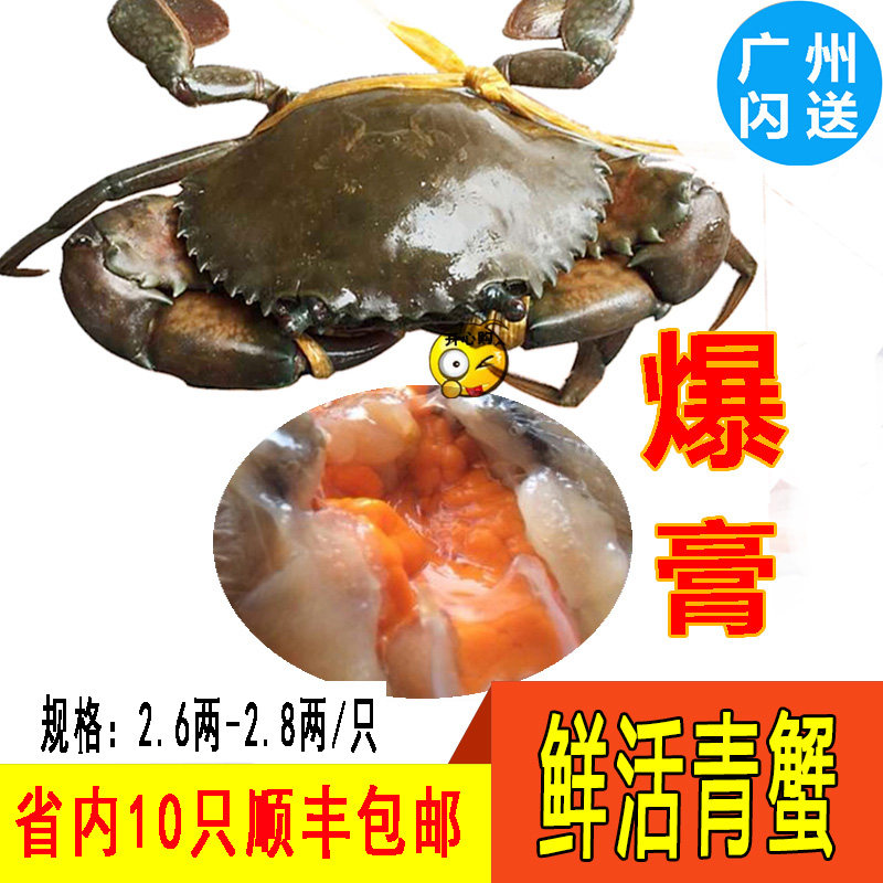 鲜活青蟹小红膏蟹印尼进口母蟹海鲜大螃蟹香辣蟹约3两/广东10包邮