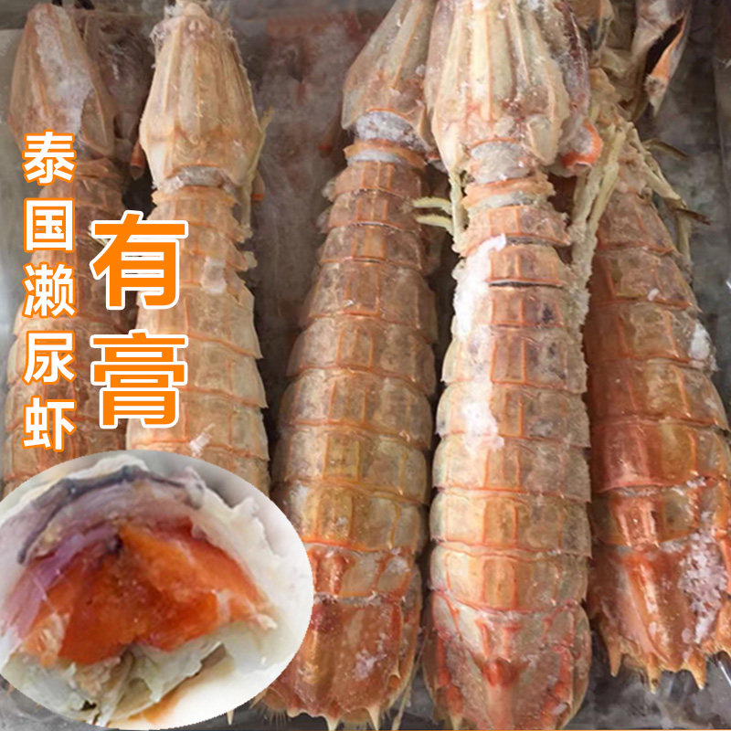 泰国缅甸皮皮虾鲜活熟冻有膏虾蛄椒盐香辣濑尿虾富贵虾超大6两/只
