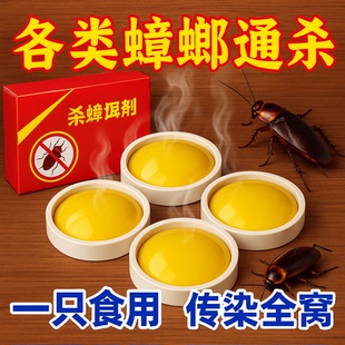 强效蟑螂药出租屋家用非无毒一窝端厨房内蟑螂克星强力型灭虫神器