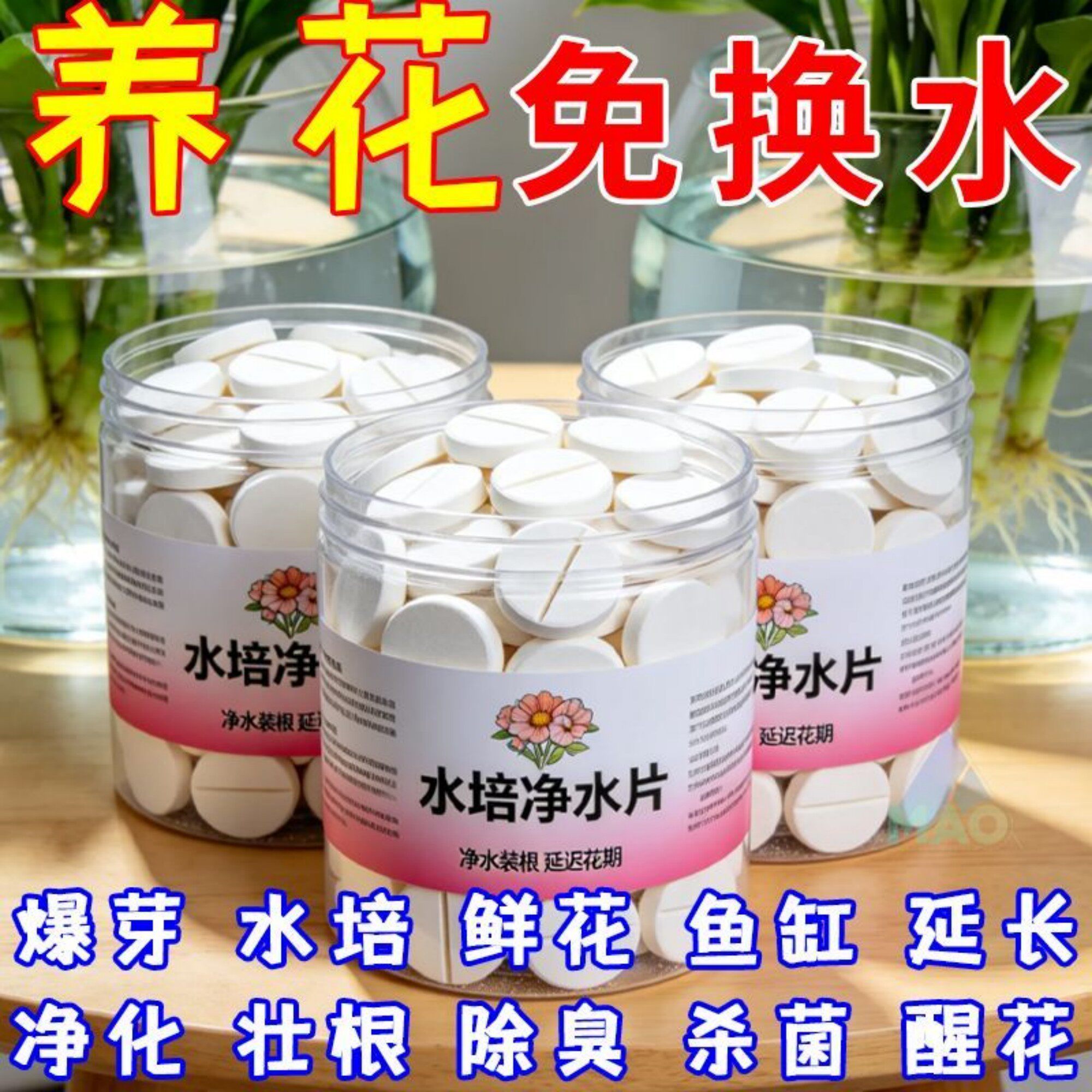爆根】富贵竹专用净水片