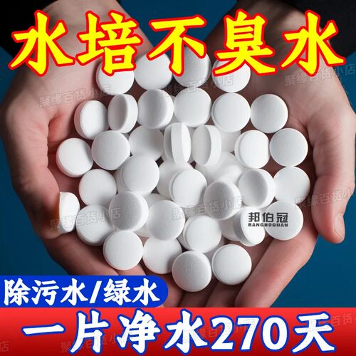 鲜花保鲜消毒片水培植物专用净水片富贵竹碗莲净水保鲜花卉保鲜剂