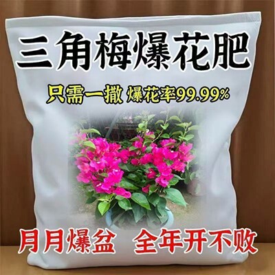 三角梅催花开花粉促芽剂