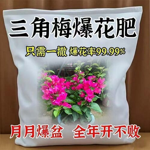 三角梅催花开花粉促芽剂