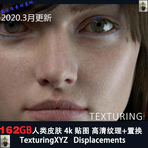 162GB 人类xyz皮肤贴图纹理高清人物素材 Texturing XYZ