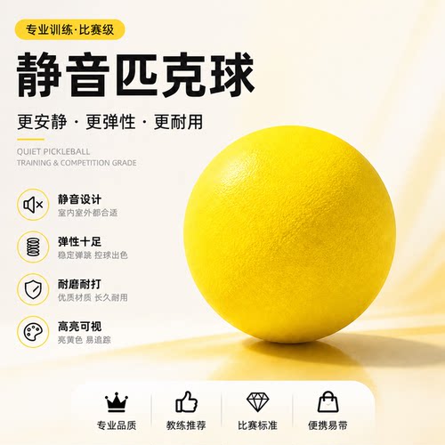 比赛级PU静音室内外通用匹克球