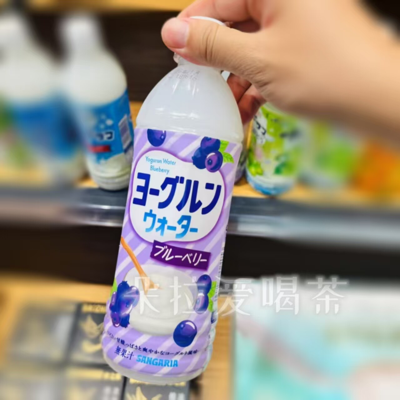 日本进口三佳利Sangaria饮料椰果蓝莓酸奶味500ml