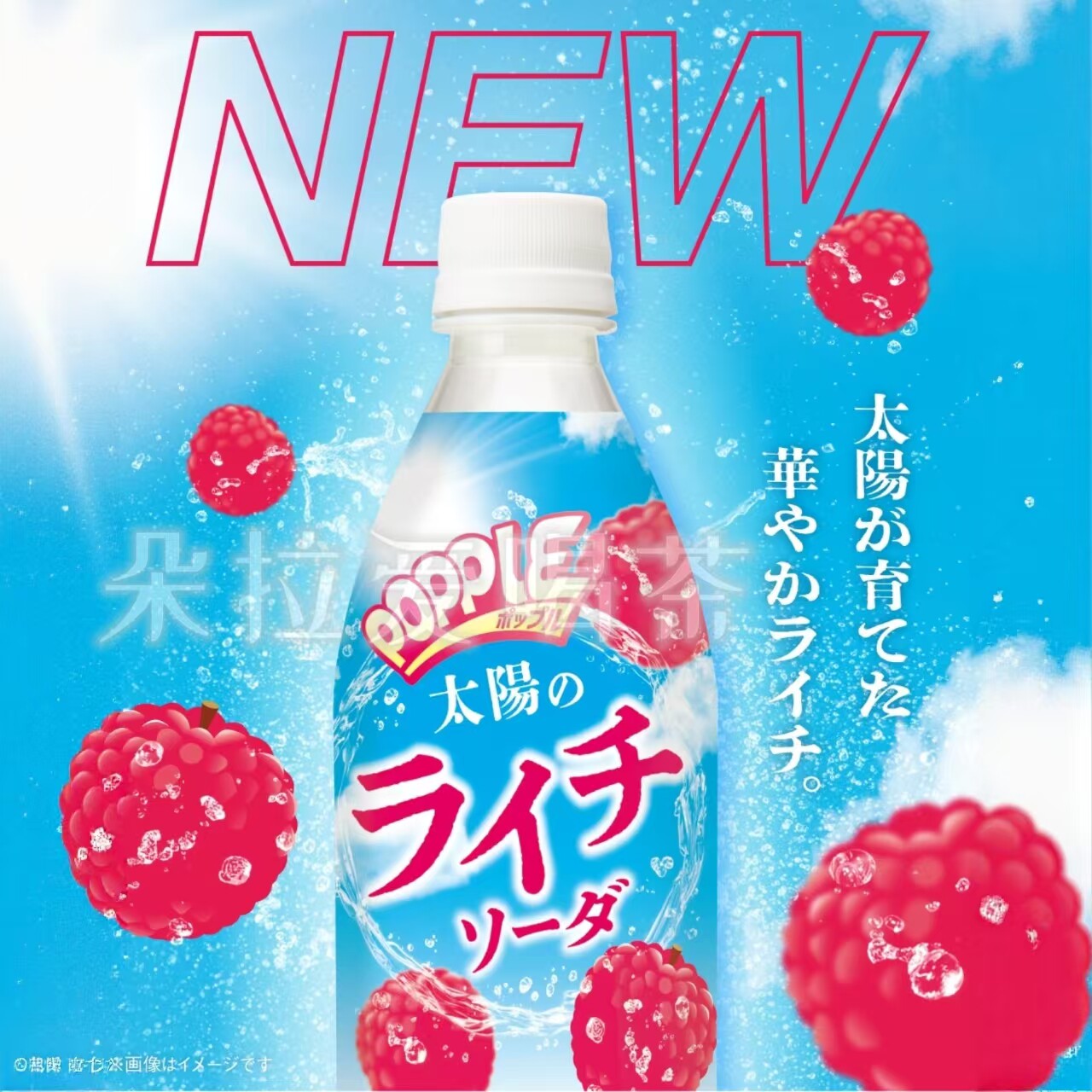 日本进口三佳利Sangaria饮料荔枝苏打POPPLE碳酸饮料500ml图片