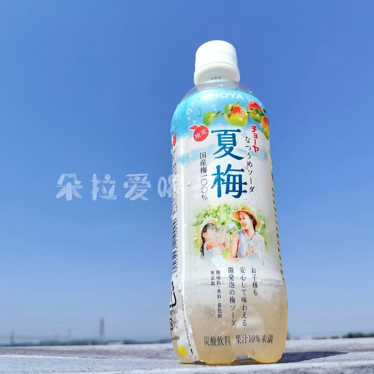 日本进口CHOYA巧雅梅子味碳酸饮料果汁果味汽泡水夏日饮品500ml