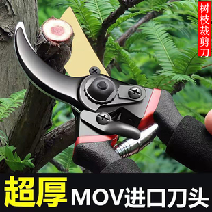 树枝裁剪刀钢剪树剪子果树剪修枝剪粗枝剪园艺剪刀家用花木葡萄修