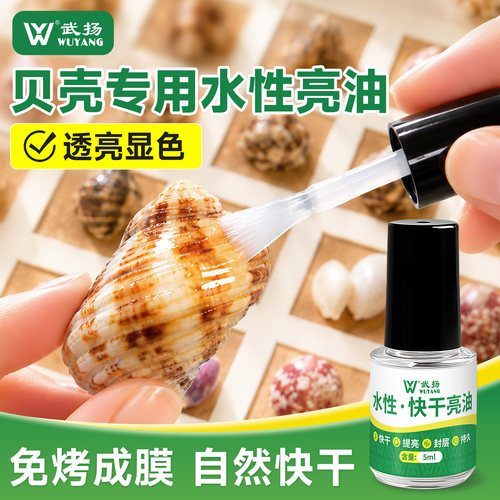 贝壳亮油提亮防干防裂封层专用