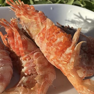 俄罗斯进口格陵兰虾熟冻火龙虾1kg即食鬼海老虾北极甜虾莱伯冰虾